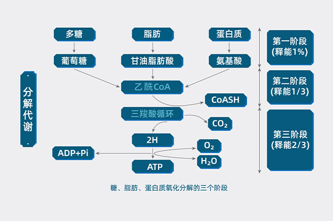 &#21916;&#21033;&#24471;&#40;&#20013;&#22269;&#41;