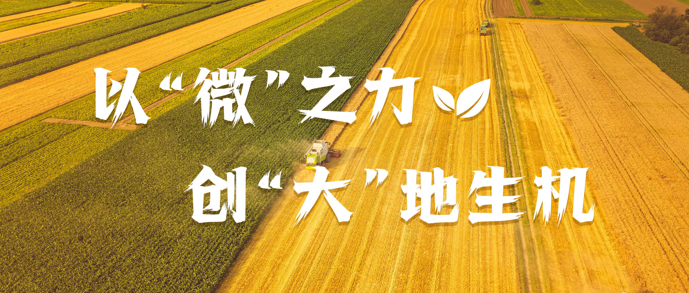 &#21916;&#21033;&#24471;&#40;&#20013;&#22269;&#41;